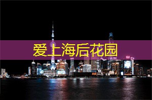 上海的游泳俱乐部与课程推荐